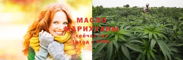 spice Инта