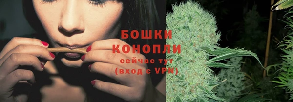 кокс Инсар