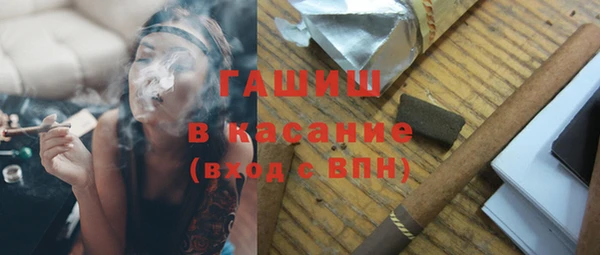 spice Инта