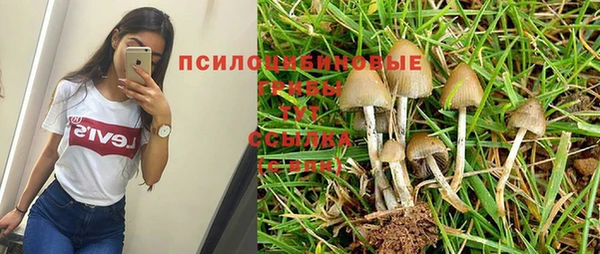 кокс Инсар