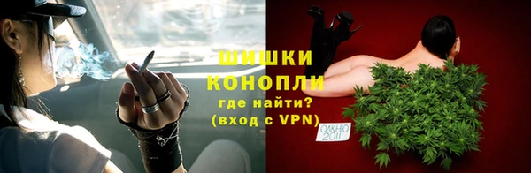spice Инта