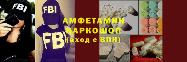 spice Инта