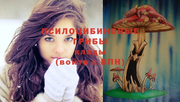 кокс Инсар
