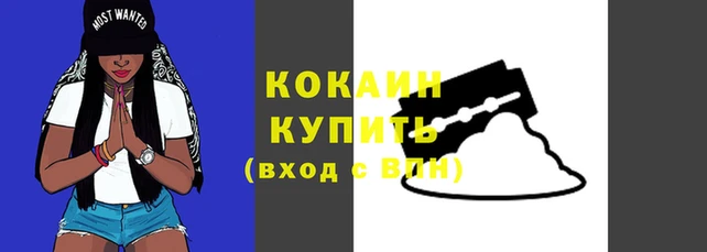 кокс Инсар