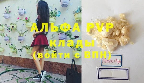spice Инта