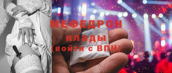 spice Инта