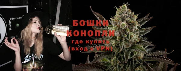 spice Инта