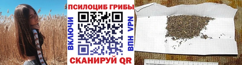 Галлюциногенные грибы GOLDEN TEACHER  Купить  Комсомольск-на-Амуре 